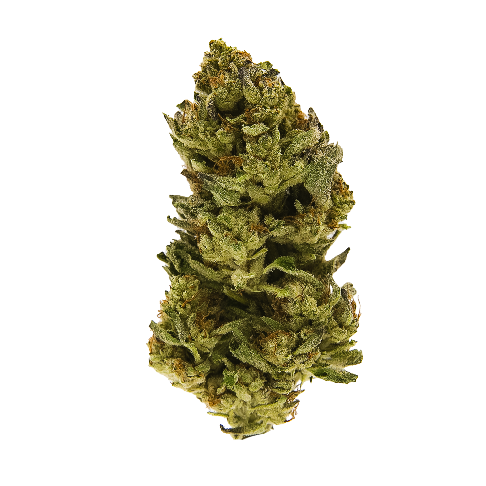 BLACK - Jack the Ripper (S) - 14g